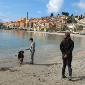 Apprentissage dressage et comportementalise menton pour chien