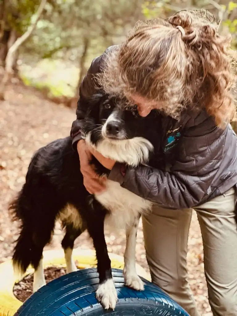 educateur canin positif Séverine breton castellar Menton