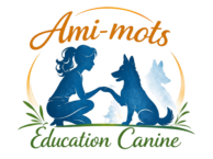 Ami-mots